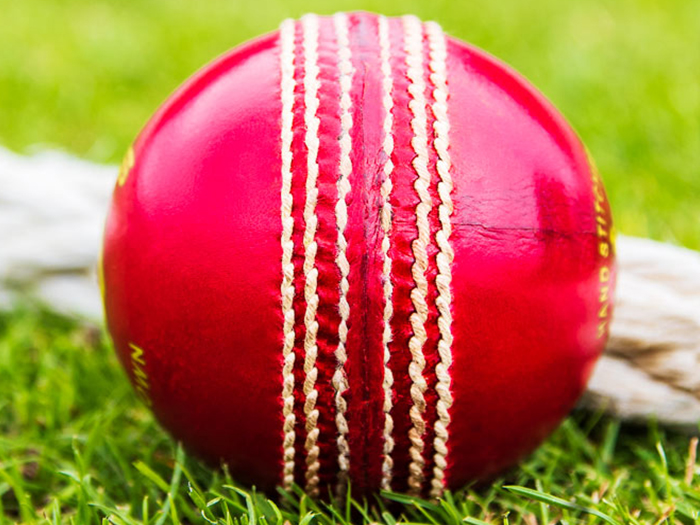 Cricket ball